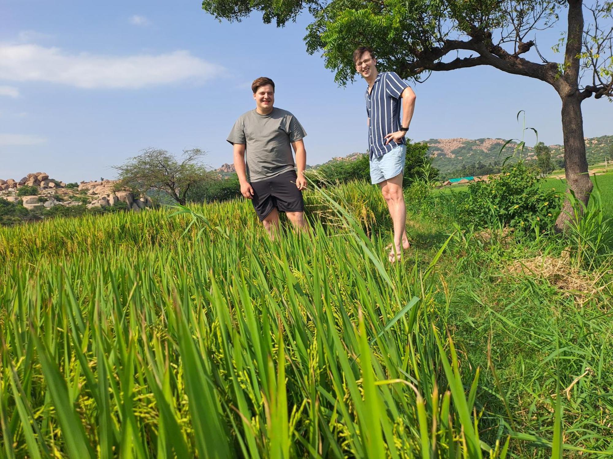 Rasta Cafe Resort Hampi Zewnętrze zdjęcie